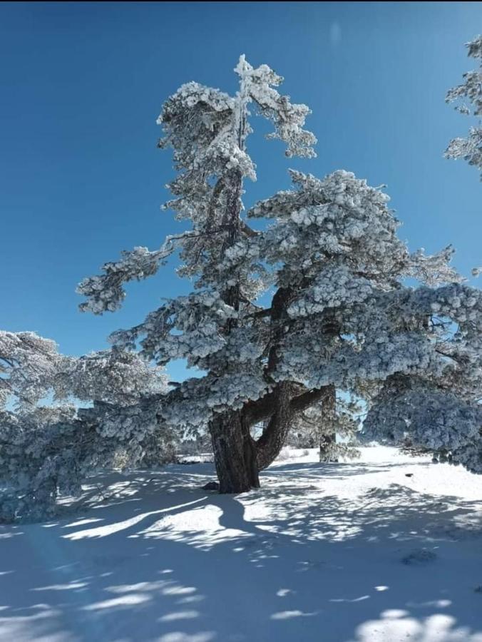 Alojamiento El Recreo Cazorla Buitenkant foto